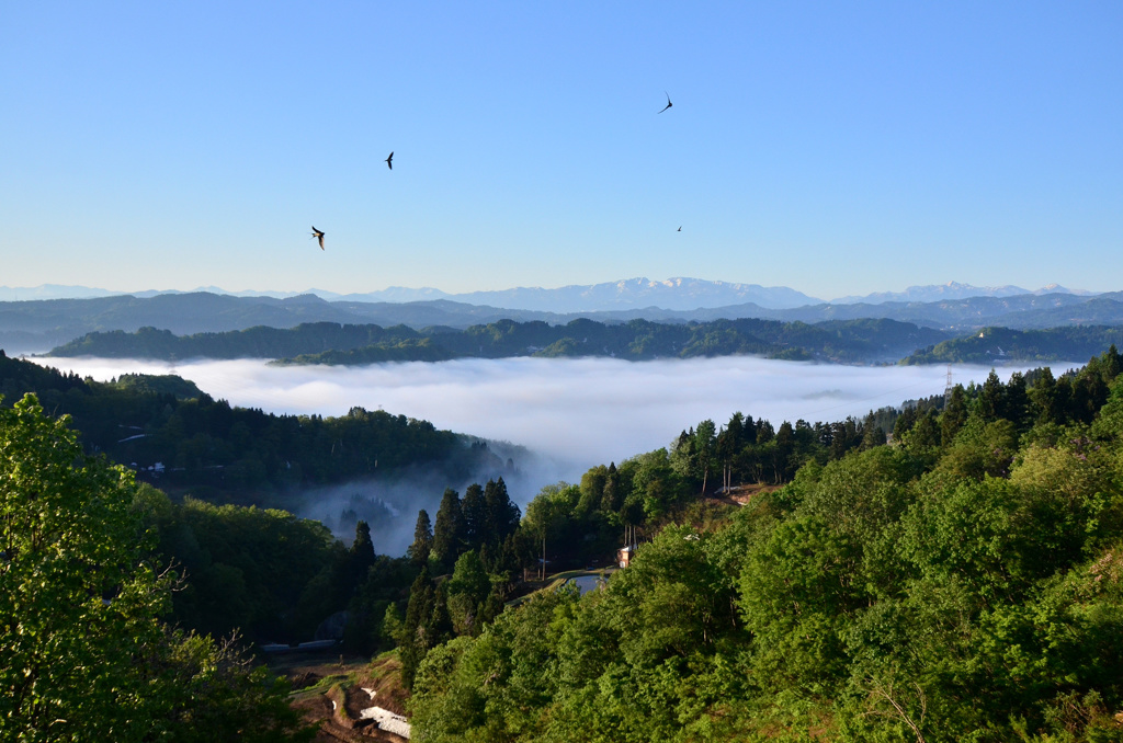 雲海芝峠