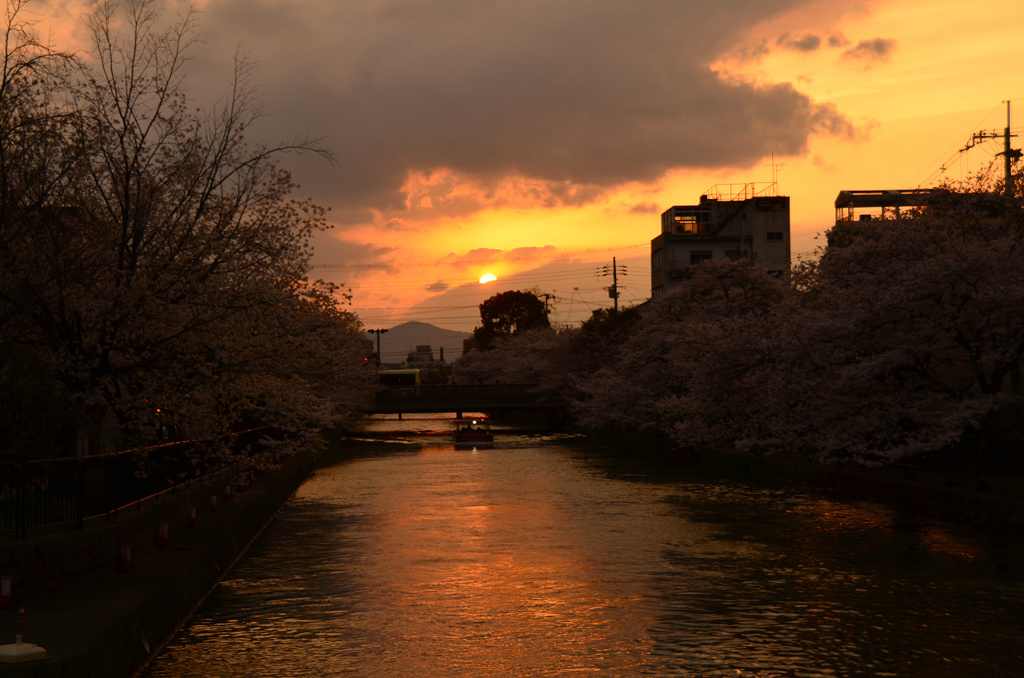 岡崎疎水夕景