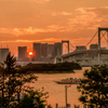 お台場の夕日