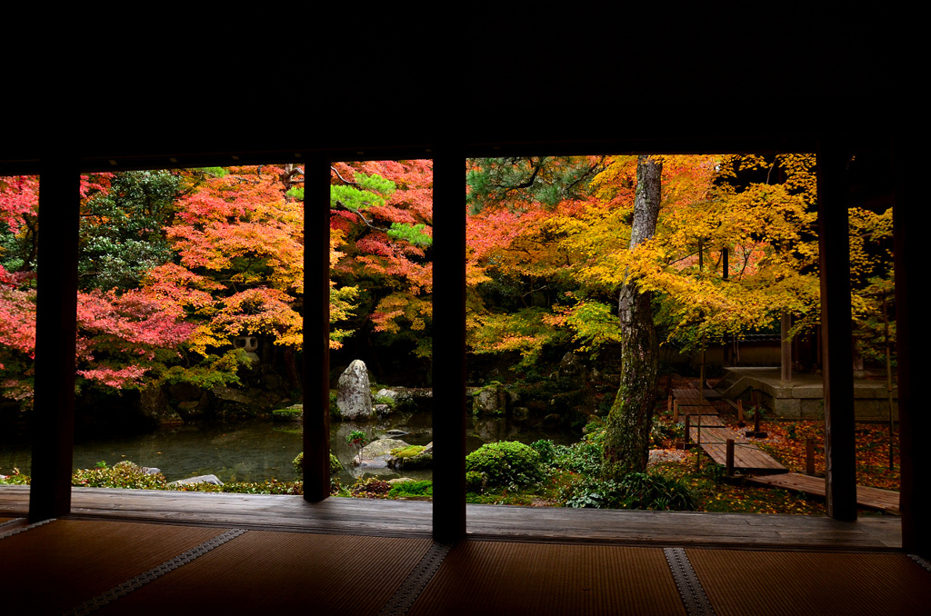 蓮華寺 額縁紅葉