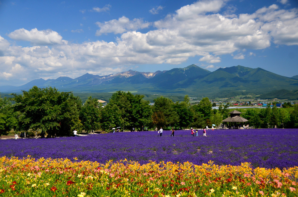 北海道夏景色