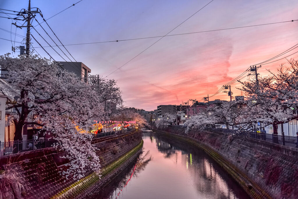 大岡川夕景