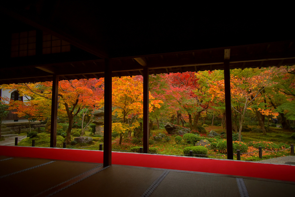 圓光寺の紅葉