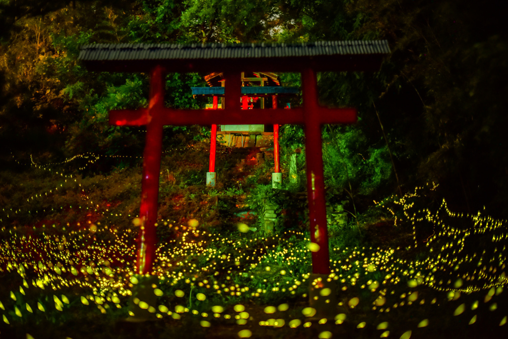 赤い鳥居