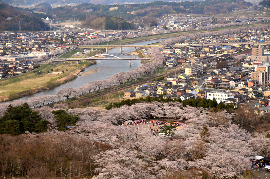 船岡山から