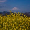 吾妻山公園にて(速報版)