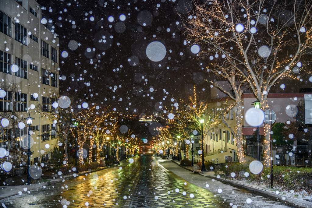 函館 八幡坂の雪景色