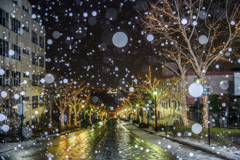 函館 八幡坂の雪景色