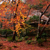 祇王寺の紅葉
