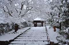 雪の安楽寺参道