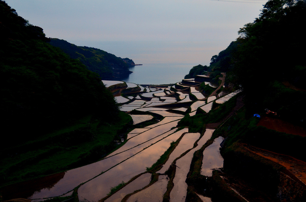 棚田の夕景