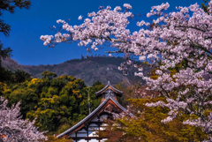 九年前の天龍寺