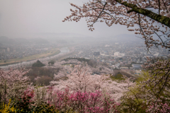 雨の日もまた美しい
