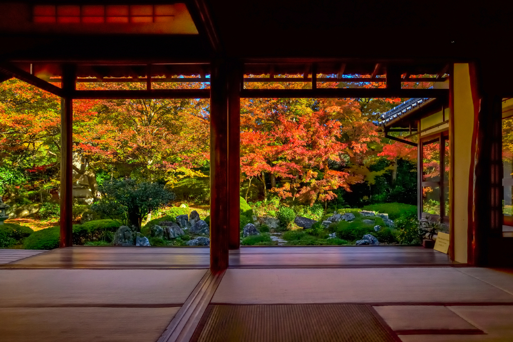 源光庵の額縁紅葉