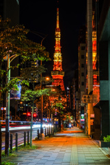 東京タワーのある風景2