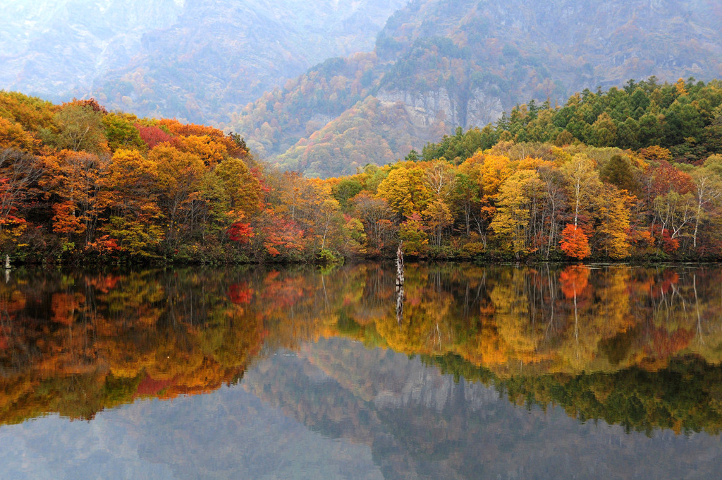 鏡池