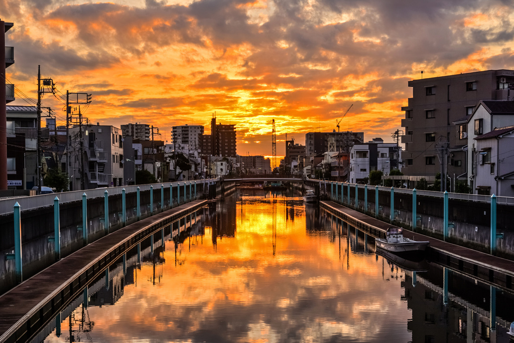 金色の夜明け