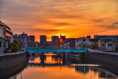 呑川と朝日