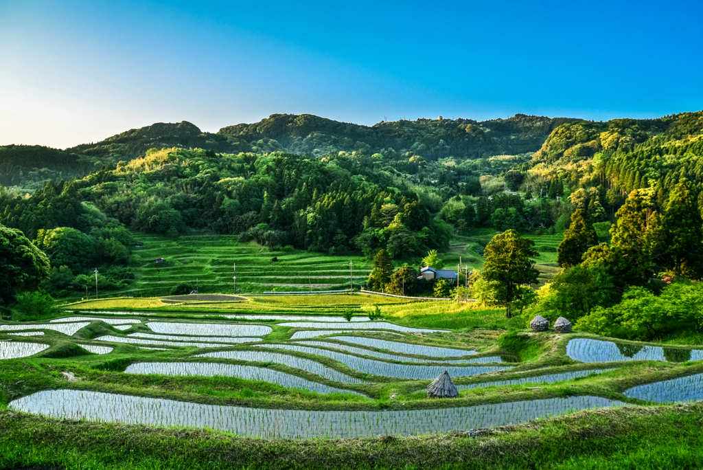八年前の大山千枚田