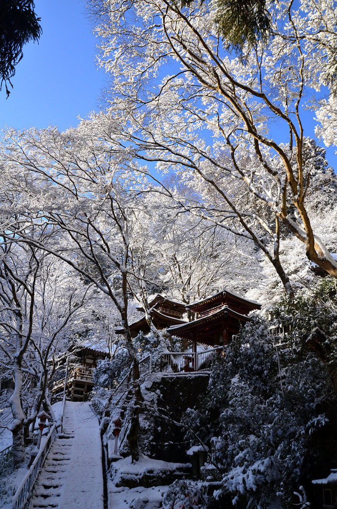 奥嵯峨野の冬景色