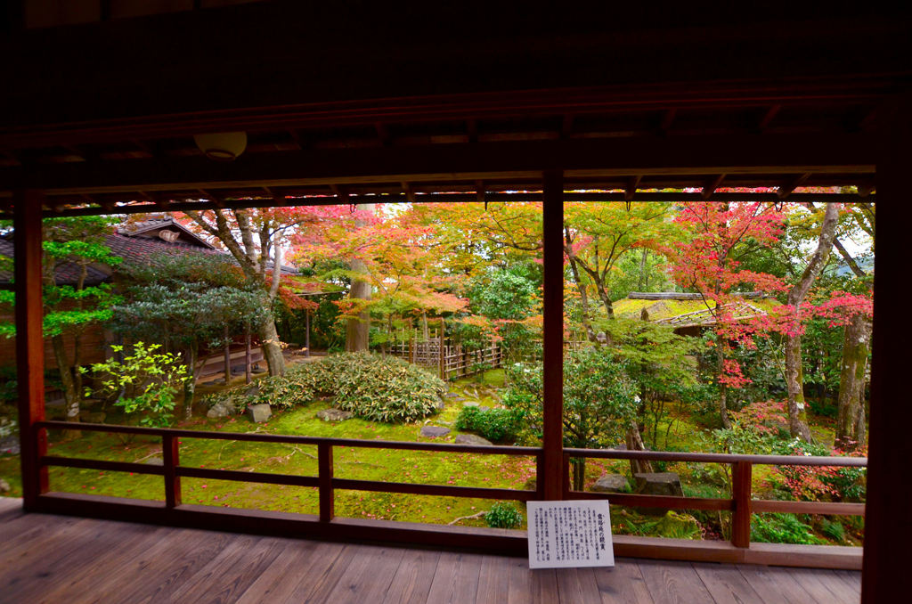 大法院 額縁紅葉2