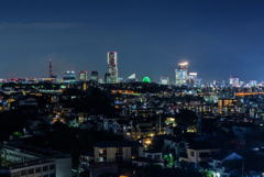 弘明寺公園の夜景