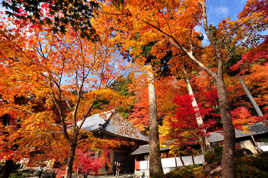 3年前の永源寺