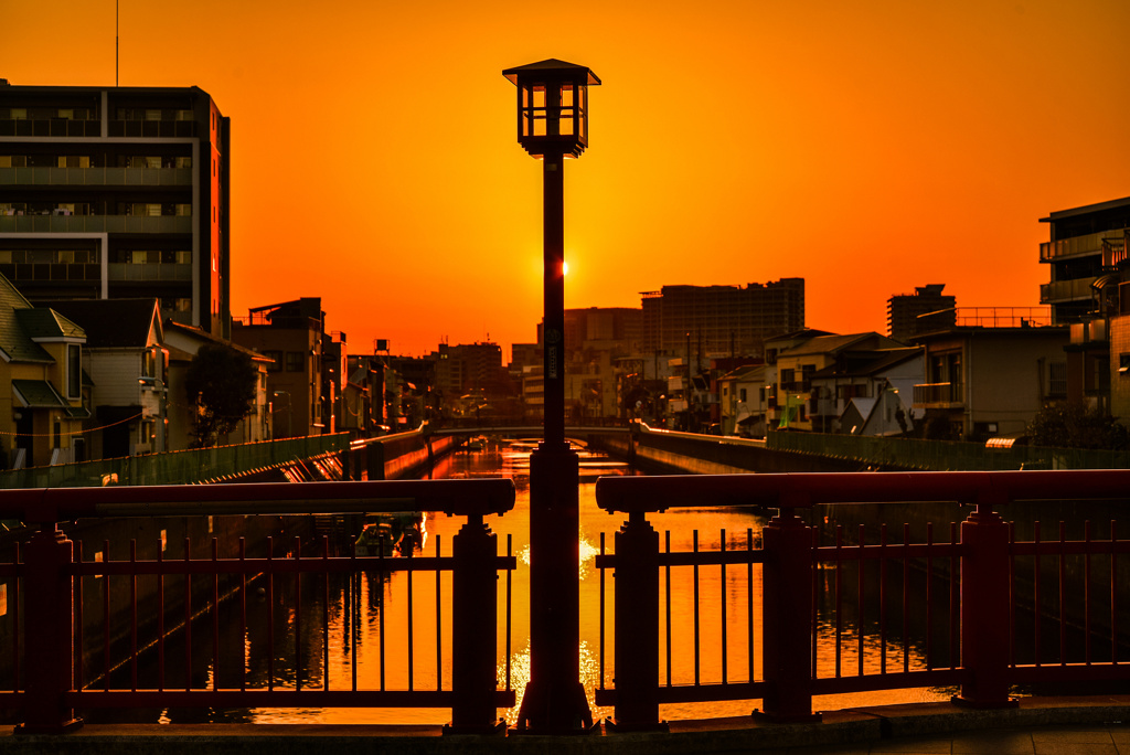 呑川の夕日