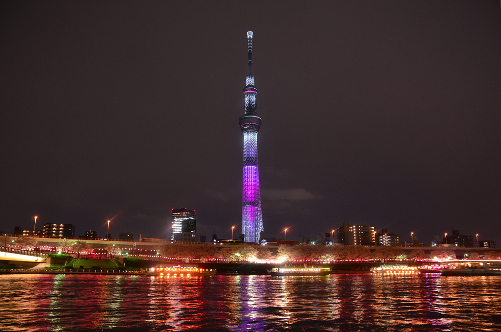 隅田川、夜桜の宴