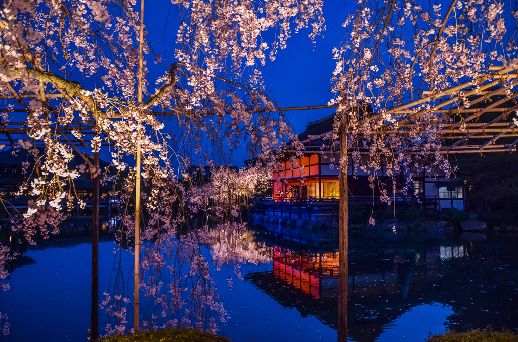 六年前の平安神宮
