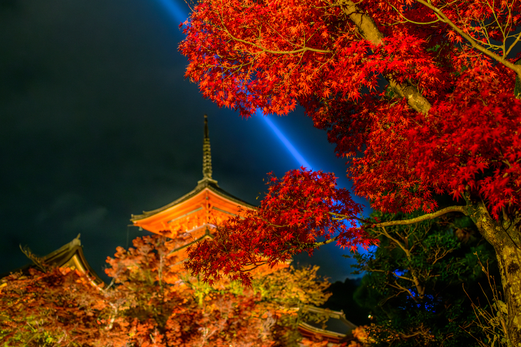 去年のおさらい2