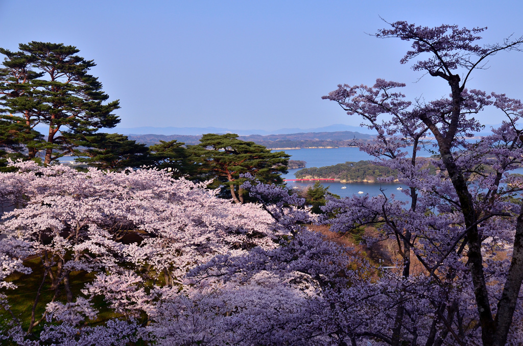 西行戻しの松公園