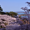 西行戻しの松公園