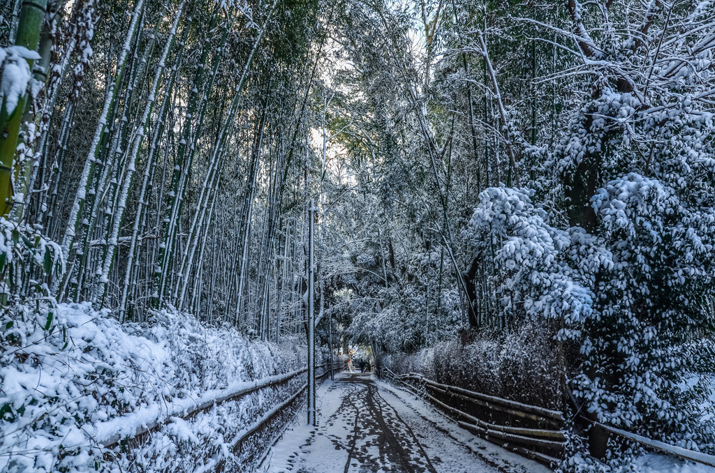 嵯峨野の竹林の雪景色(再編集版)