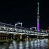 スカイツリーと隅田川橋梁2