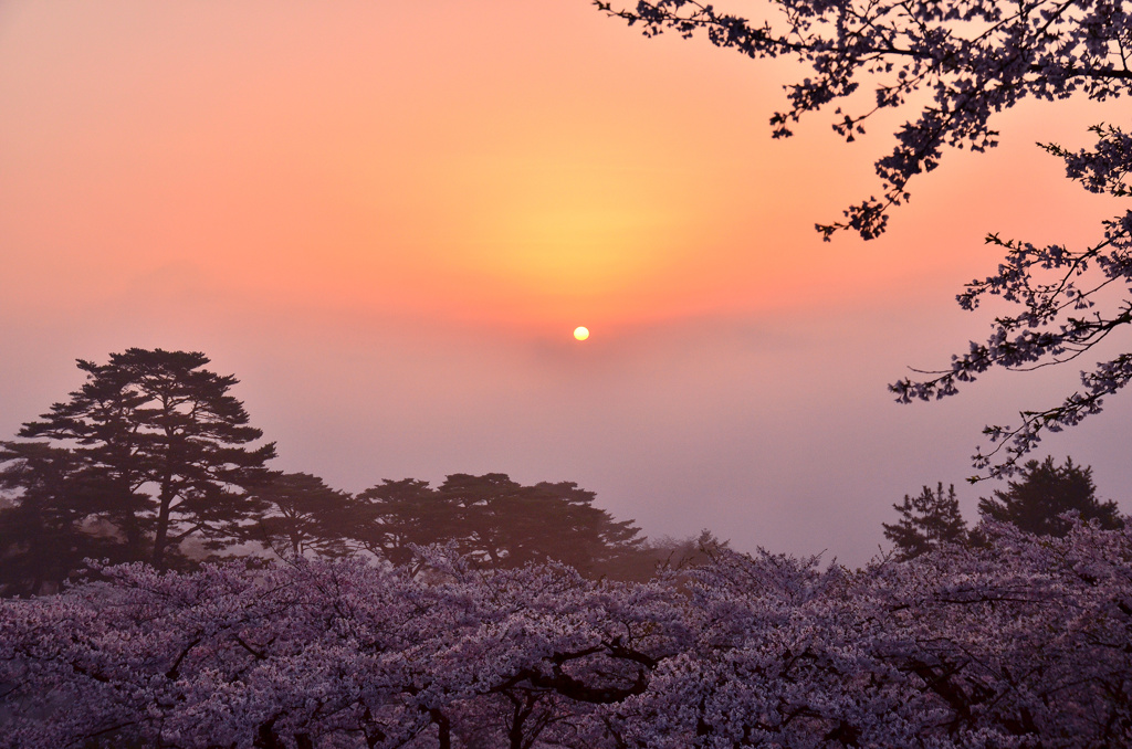 霧の夜明け