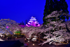 鶴ヶ城の夜桜3