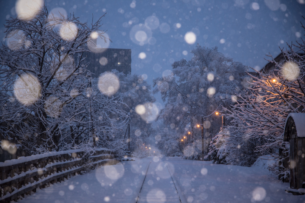 手宮線跡地の雪景色(速報版)