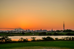 江戸川夕景