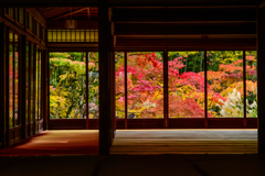 天授庵の額縁紅葉