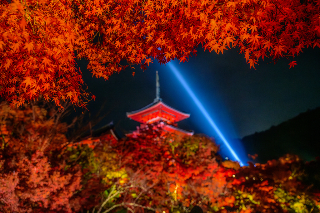 紅葉の隙間から2