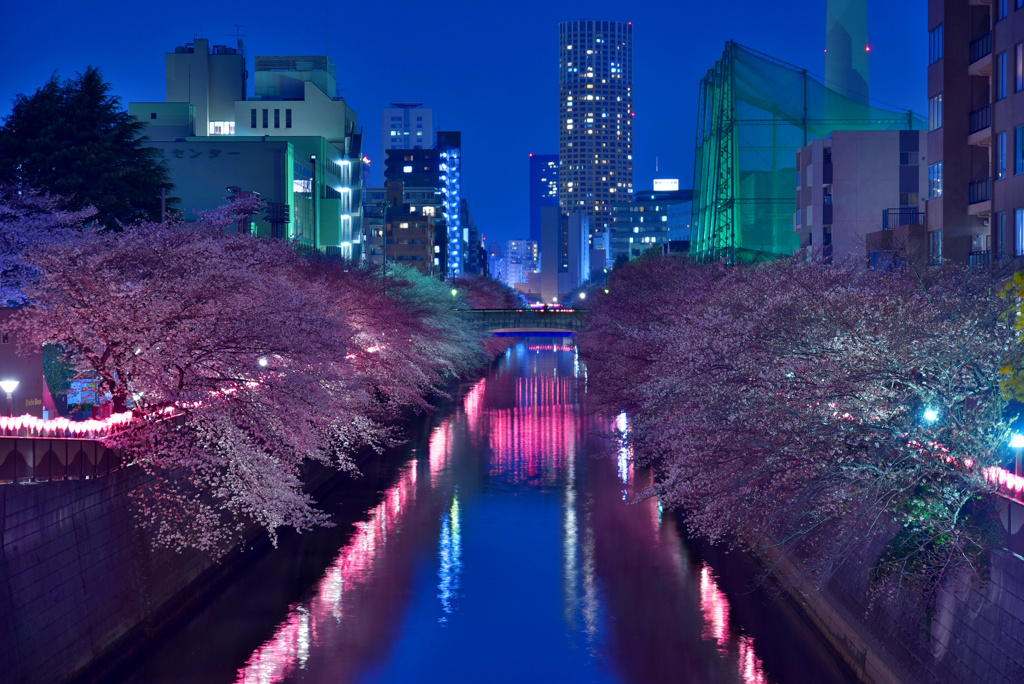 目黒川の夜2