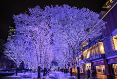 ヨコハマミライト雪景色