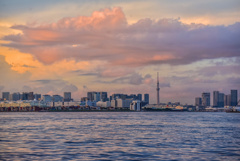 スカイツリーの夕景