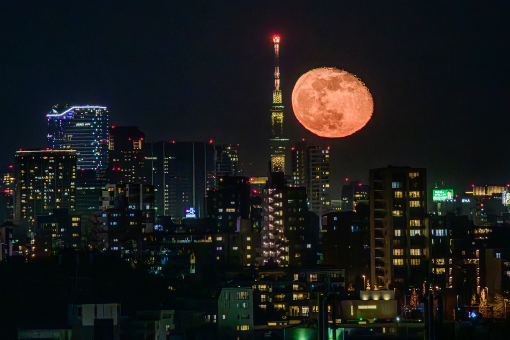 赤い何かが昇ってきた