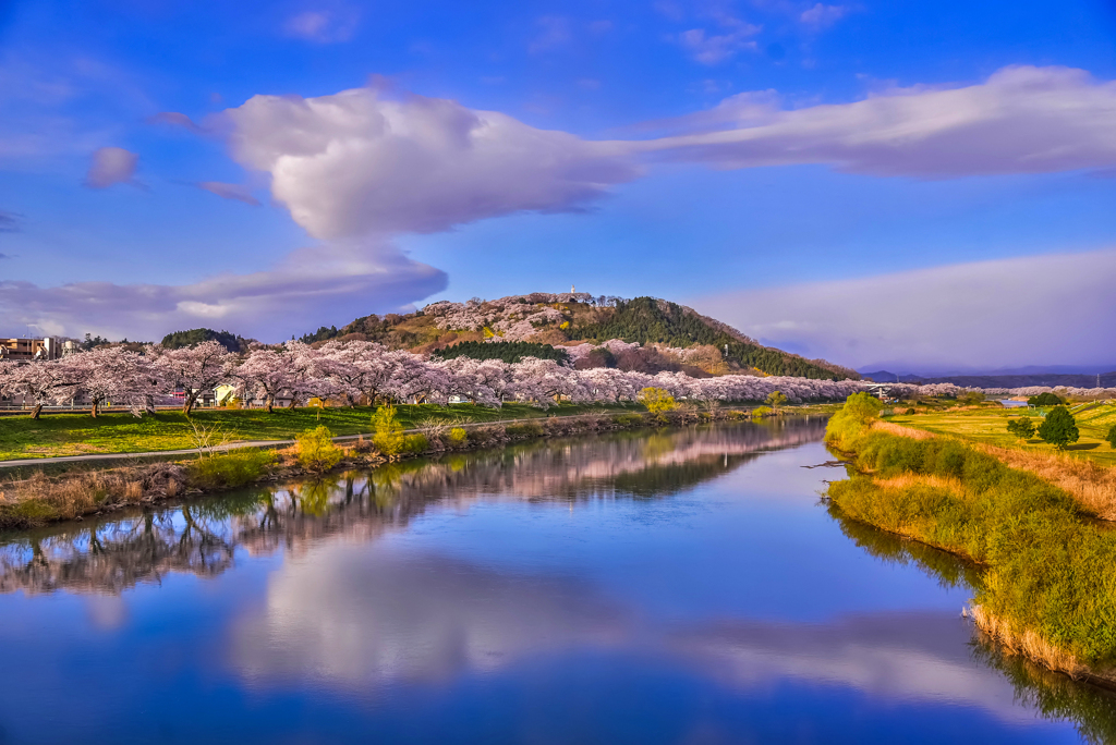 二年前の白石川堤一目千本桜