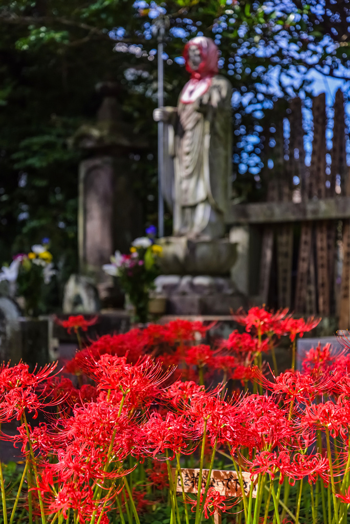 秋の宝蔵院