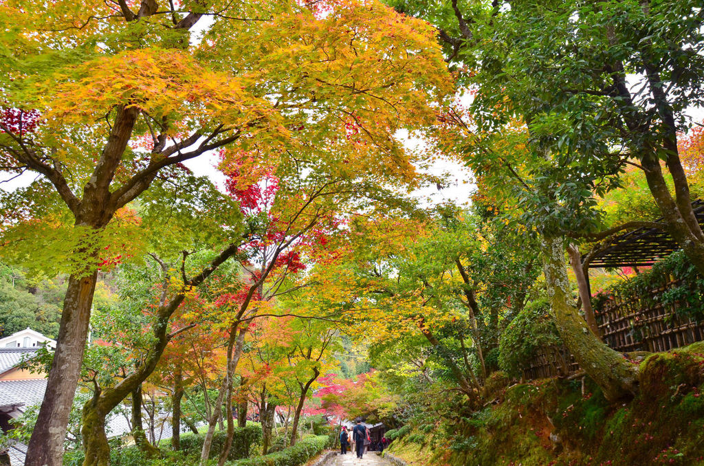 化野念仏寺参道