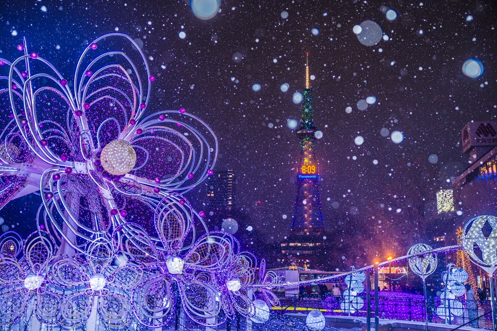 雪国のイルミネーション(速報版)