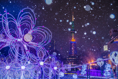 雪国のイルミネーション(速報版)